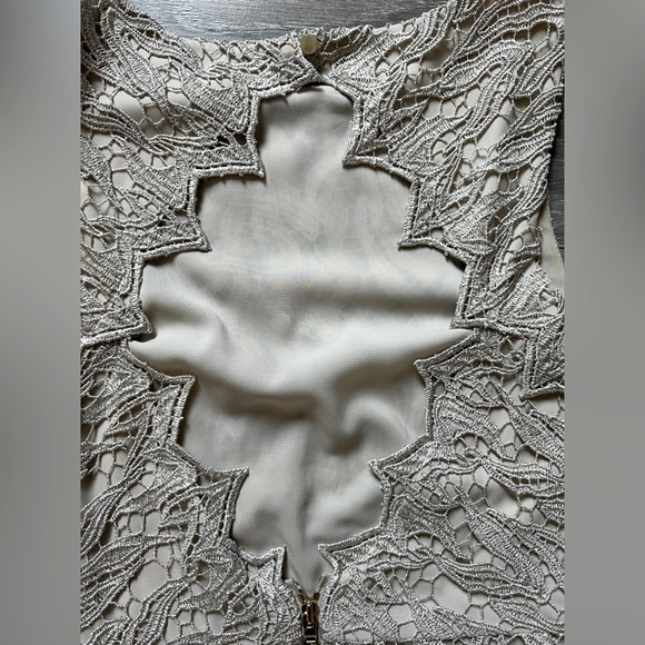 Alice + Olivia Amea metallic lace sheath dress size 0 - Picture 6 of 10